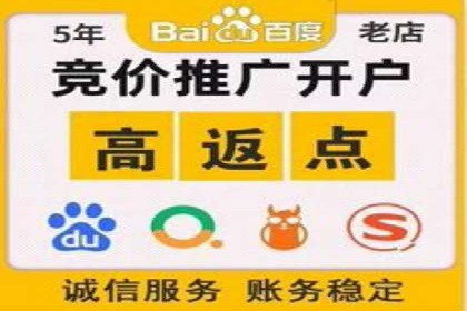 百度竞价推广案例：打造品牌影响力